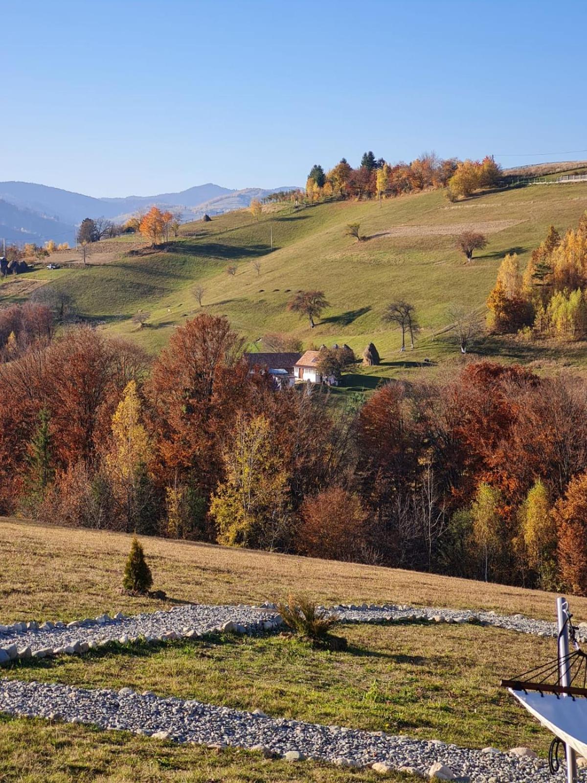 My Little Village Almafatelep Kültér fotó