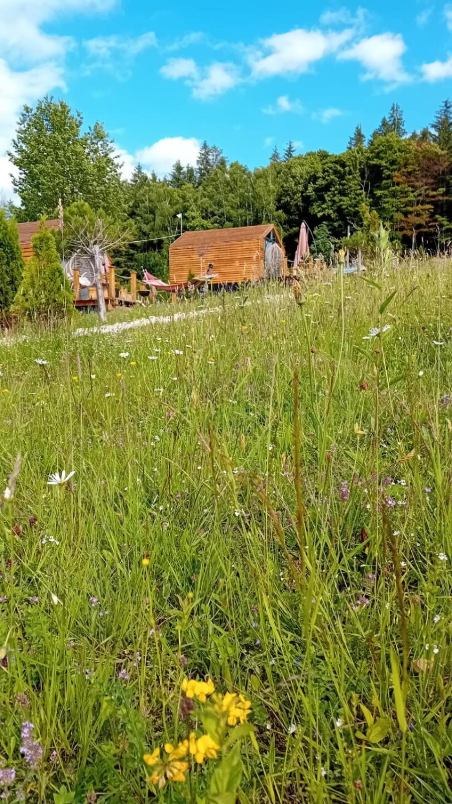 My Little Village Almafatelep Kültér fotó