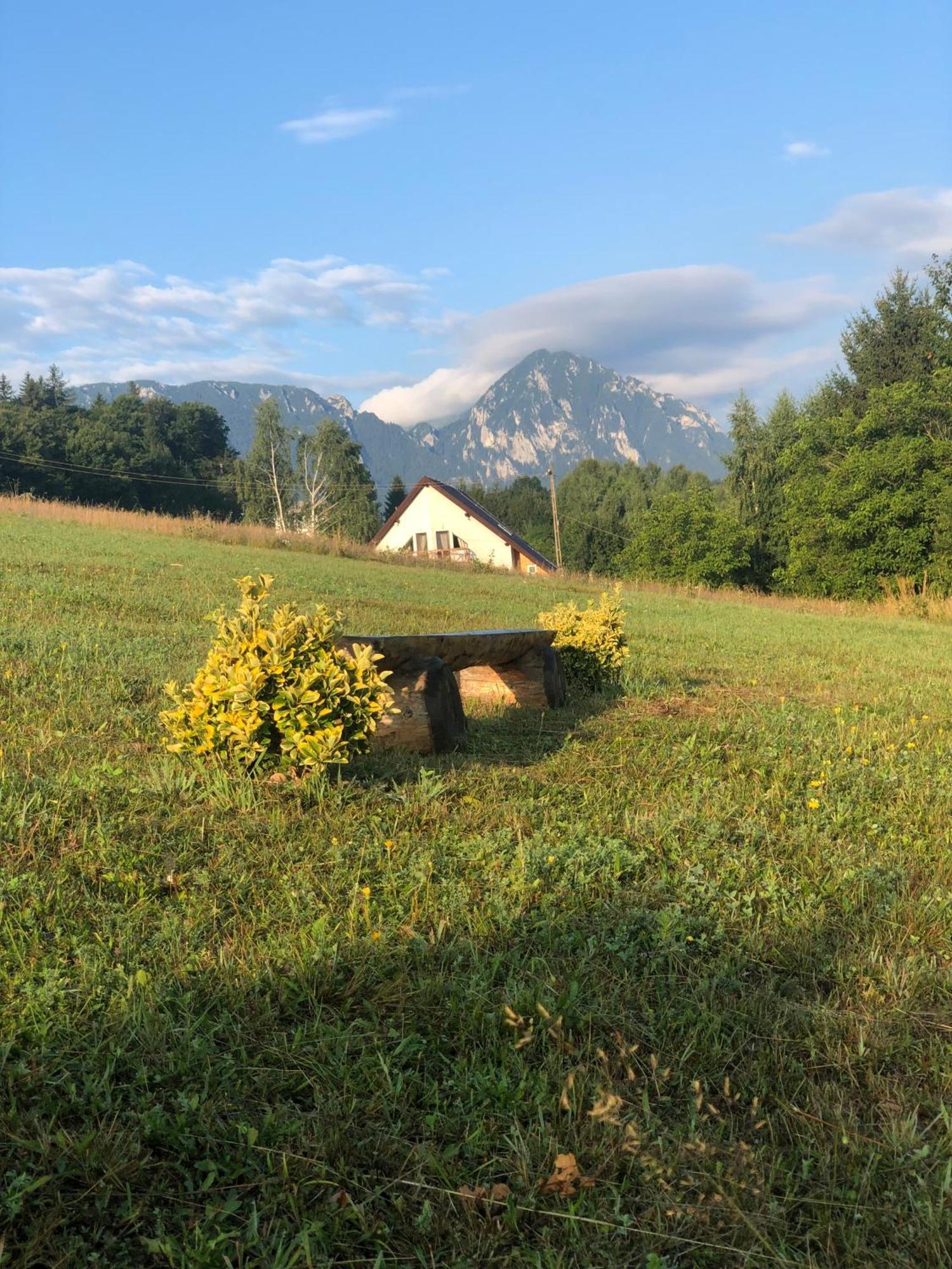 My Little Village Almafatelep Kültér fotó